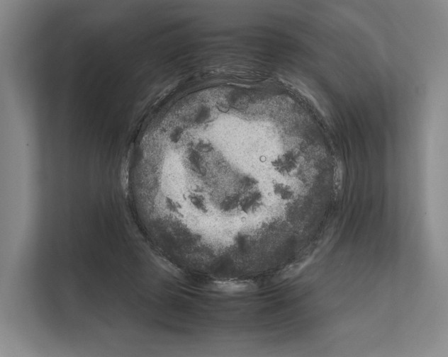 X0000111810545200909031432