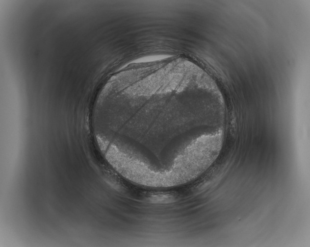 X0000111810547200909031432