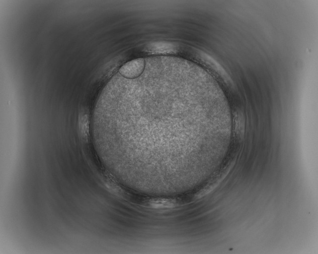 X0000111810549200909031432