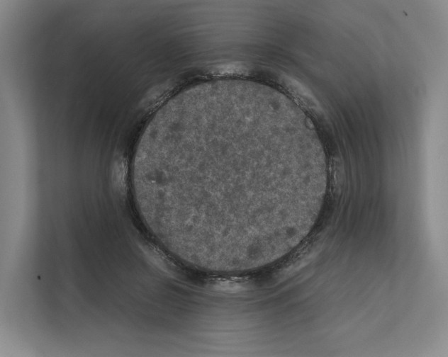 X0000111810550200909031432