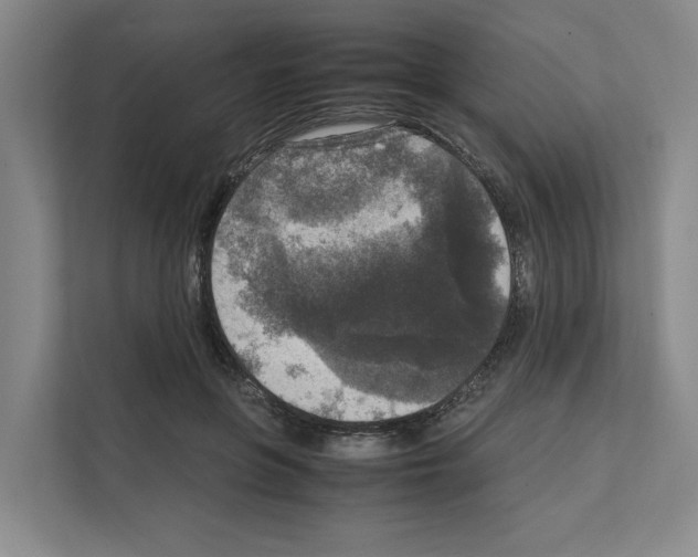 X0000111810551200909031432