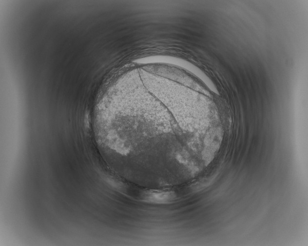 X0000111810555200909031432