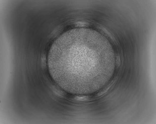 X0000111810557200909031432