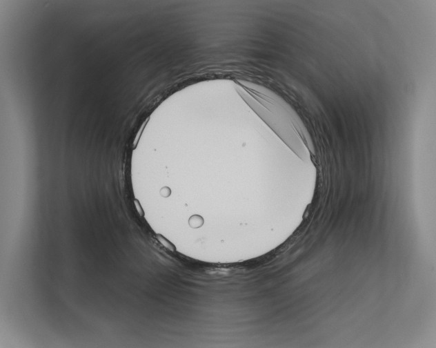 X0000111810558200909031432