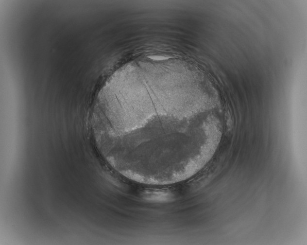 X0000111810559200909031432