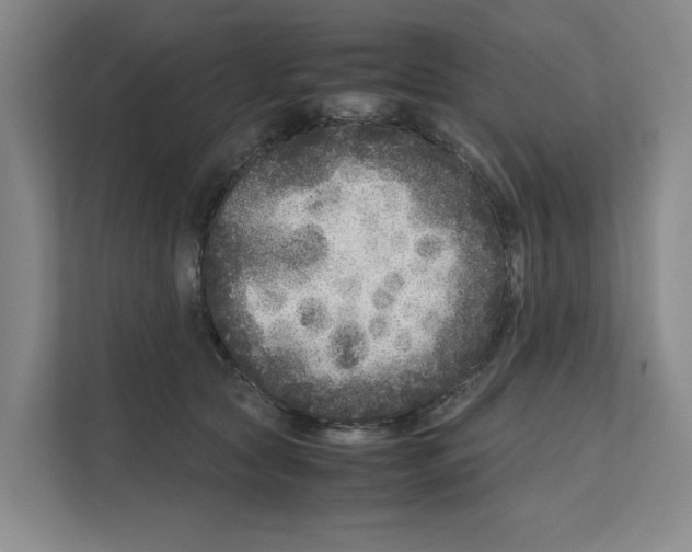 X0000111810561200909031432