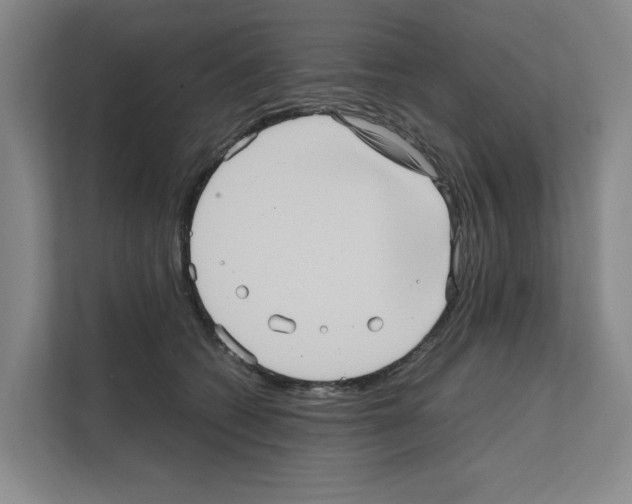 X0000111810562200909031432