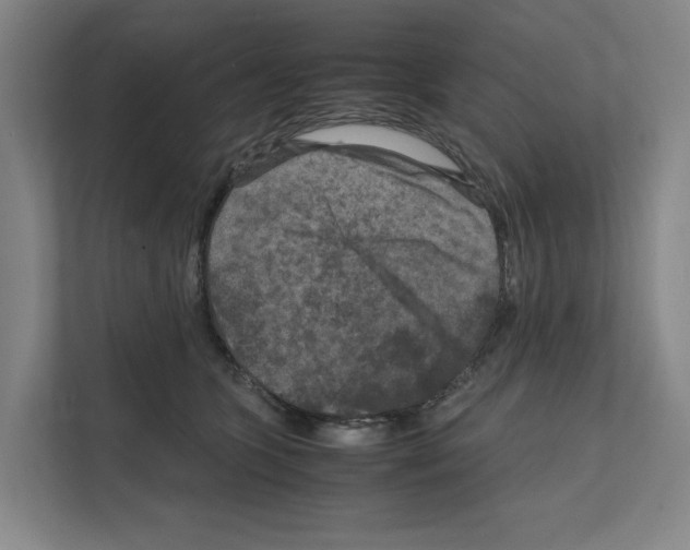 X0000111810563200909031432