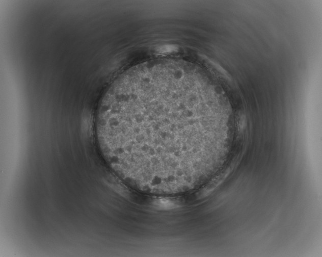 X0000111810565200909031432