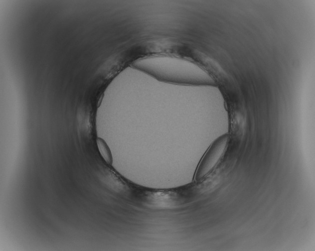 X0000111810566200909031432