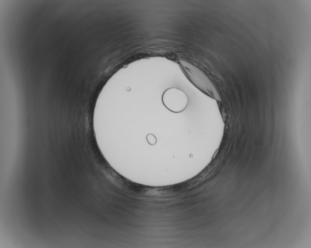 X0000111810568200909031432