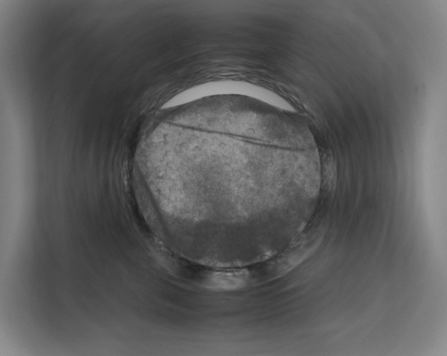 X0000111810571200909031433