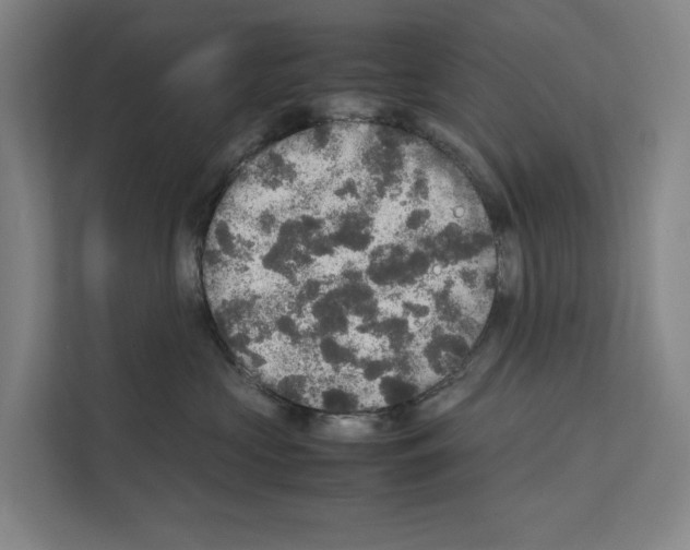 X0000111810573200909031433