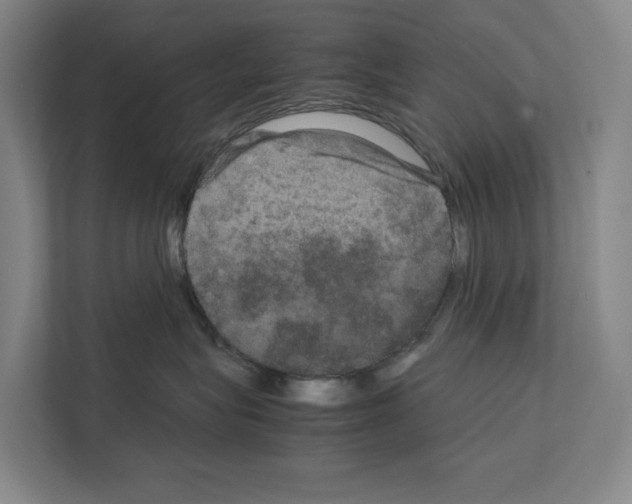 X0000111810575200909031433
