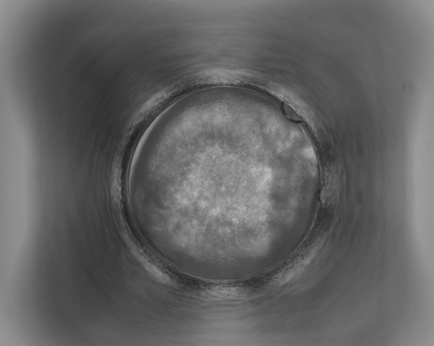 X0000111810581200909031432