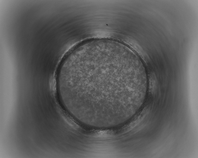 X0000111810584200909031432