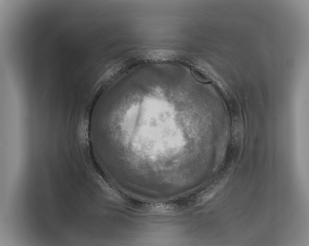 X0000111810585200909031432