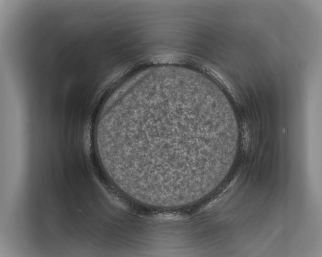 X0000111810586200909031432