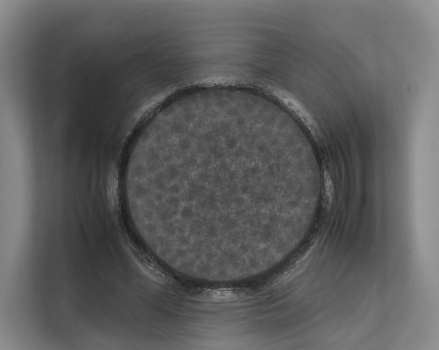 X0000111810588200909031432