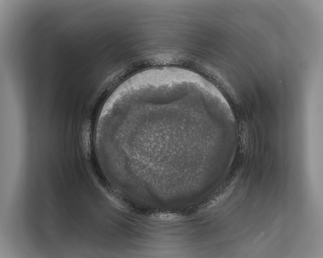 X0000111810590200909031432