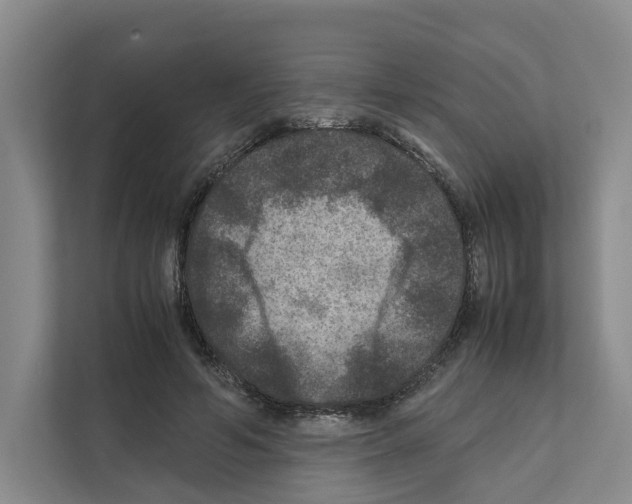 X0000111810594200909031432