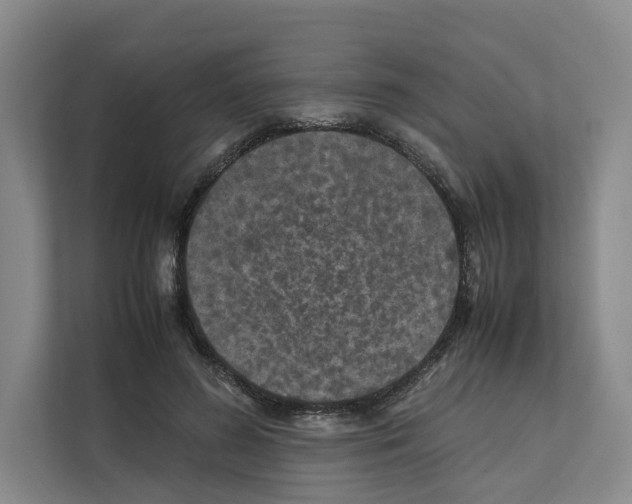 X0000111810596200909031432
