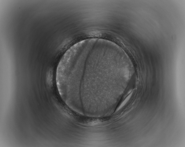X0000111810600200909031432