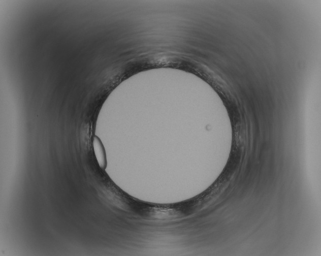 X0000111810605200909031432