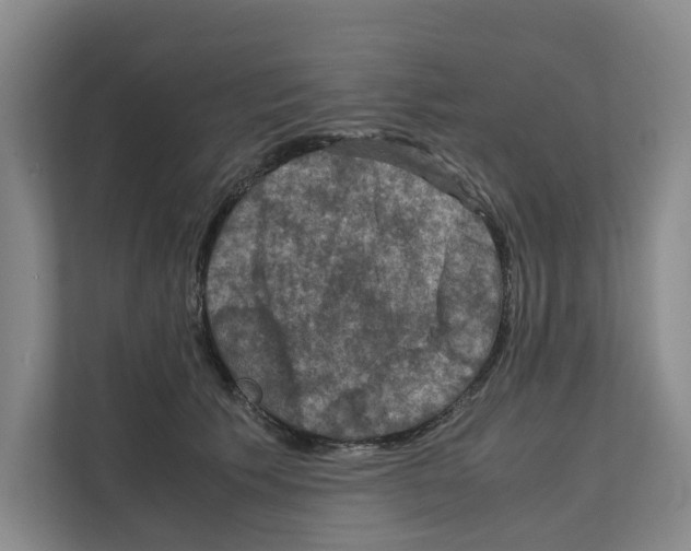 X0000111810609200909031432