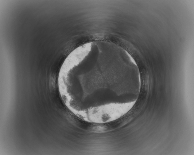 X0000111810610200909031432