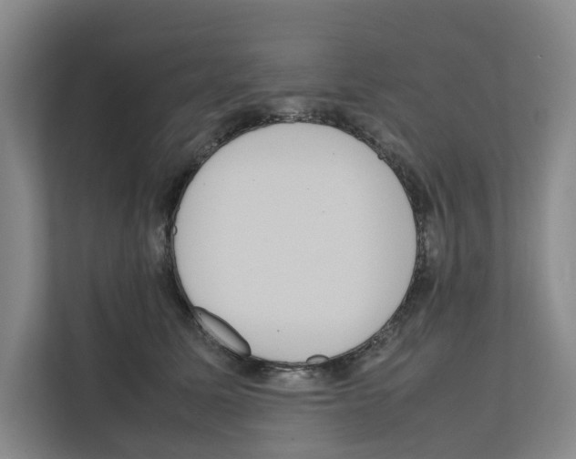 X0000111810611200909031432