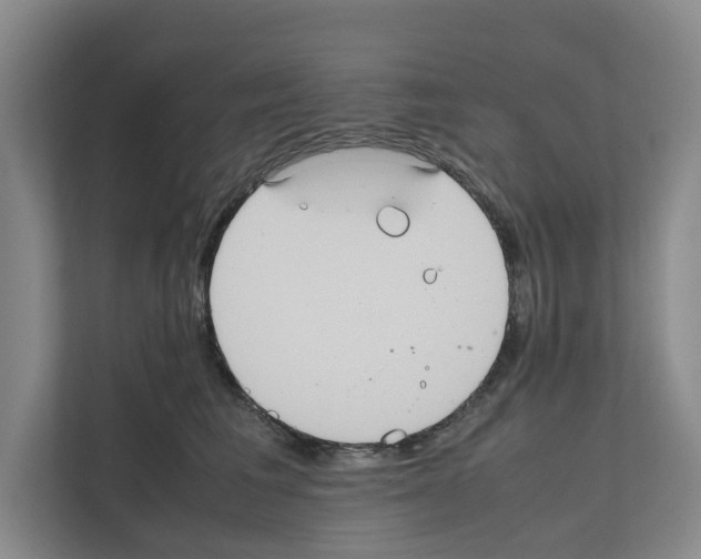 X0000111810613200909031431