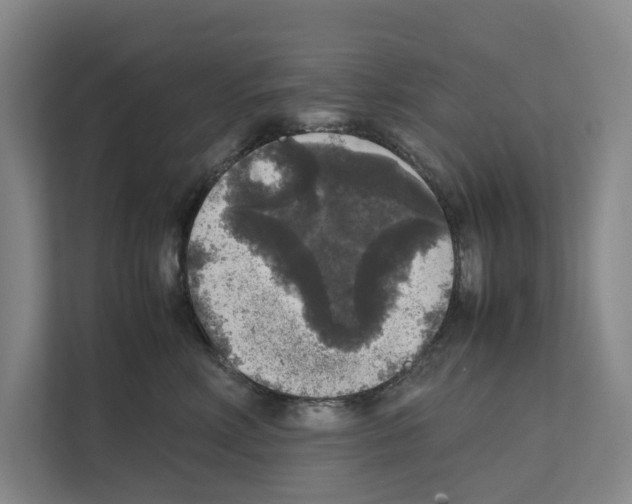X0000111810618200909031431
