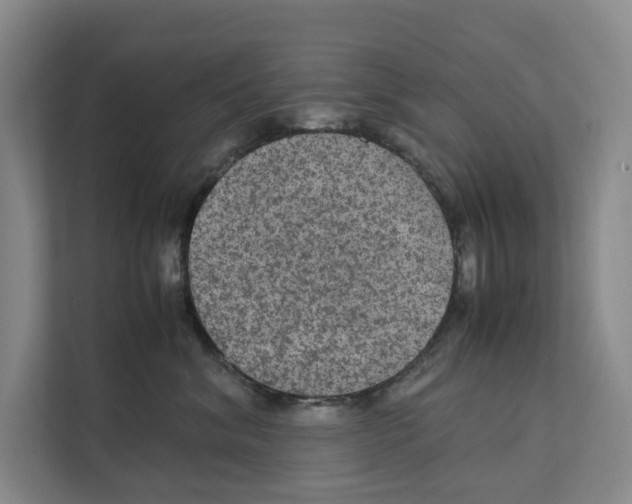 X0000111810620200909031431