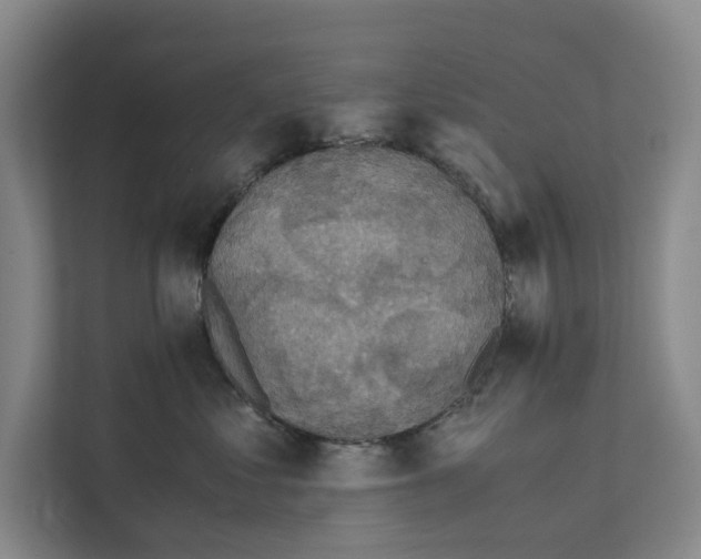 X0000111810621200909031431