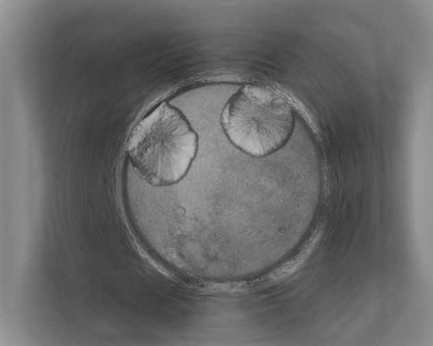 X0000111810625200909031431