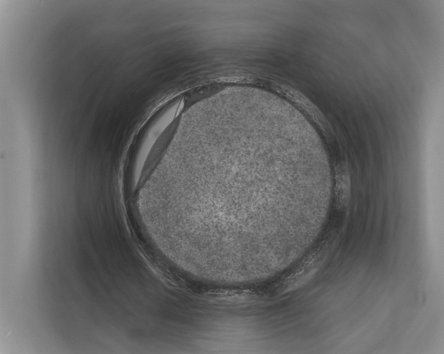 X0000111810626200909031431