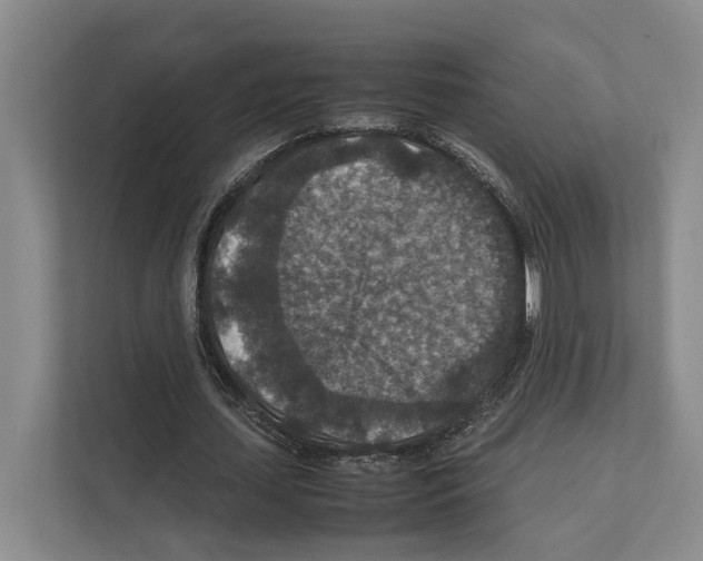 X0000111810627200909031431