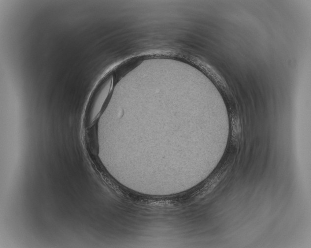 X0000111810628200909031431