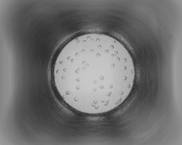 X0000111810629200909031431