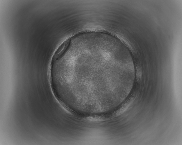X0000111810630200909031431