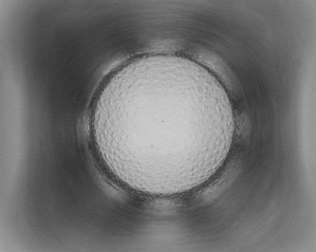 X0000111810632200909031431