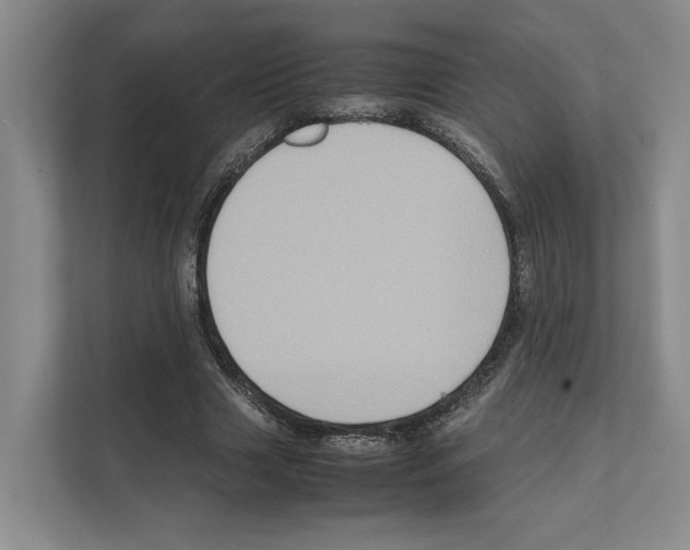 X0000111810633200909031431