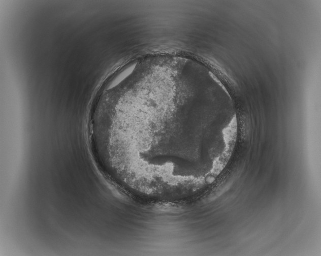X0000111810634200909031431