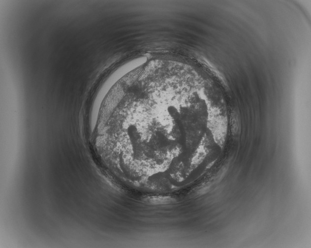 X0000111810637200909031431
