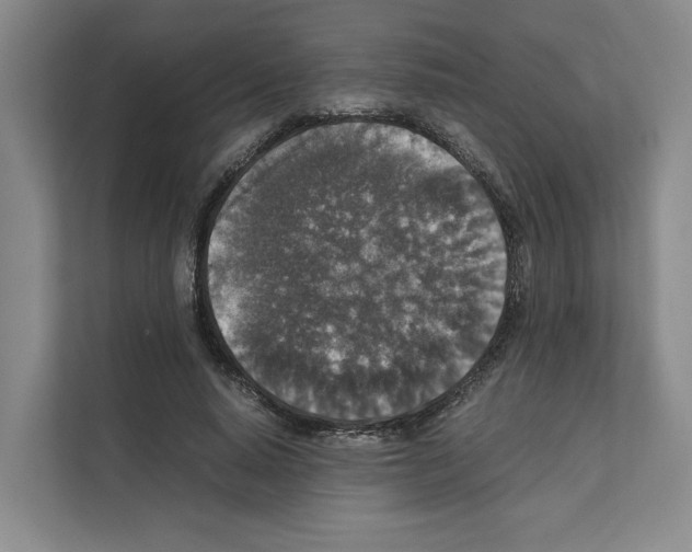 X0000111810640200909031431