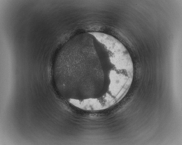 X0000111810641200909031431