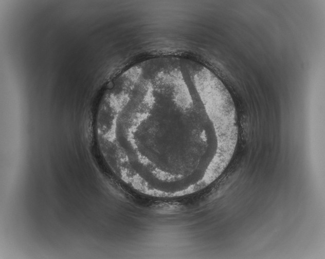 X0000111810642200909031431