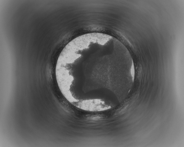 X0000111810643200909031431