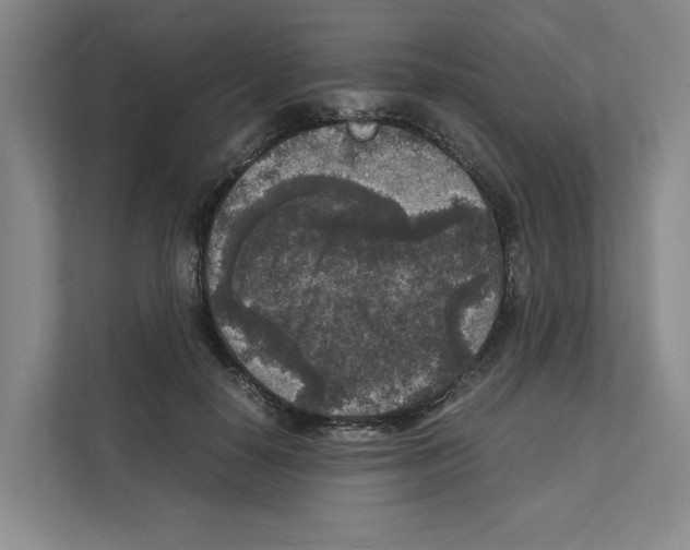X0000111810650200909031431
